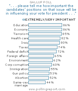 http://www.pollingreport.com/images/GALissues.GIF