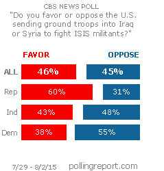 Fighting ISIS