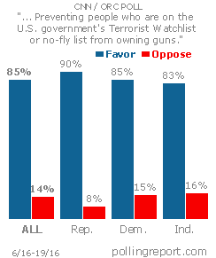 Guns and terrorism