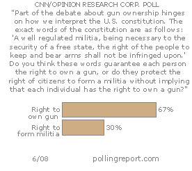 Gun ownership and militias