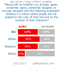 Race in America