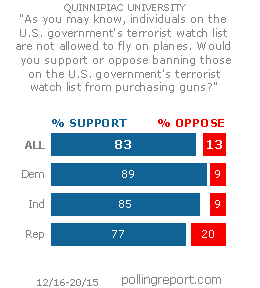 Terrorism & guns