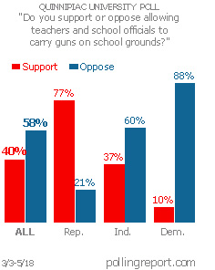 Guns in schools